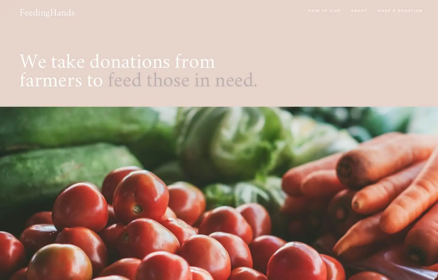 nonprofit website for feeding hands nonprofit