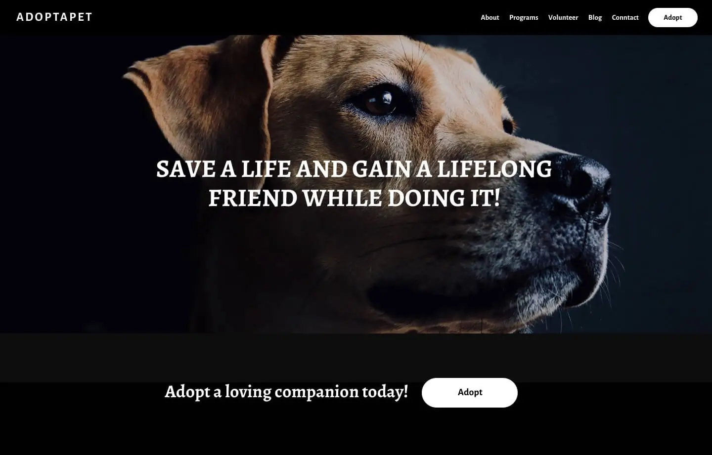 nonprofit website for ped adoption