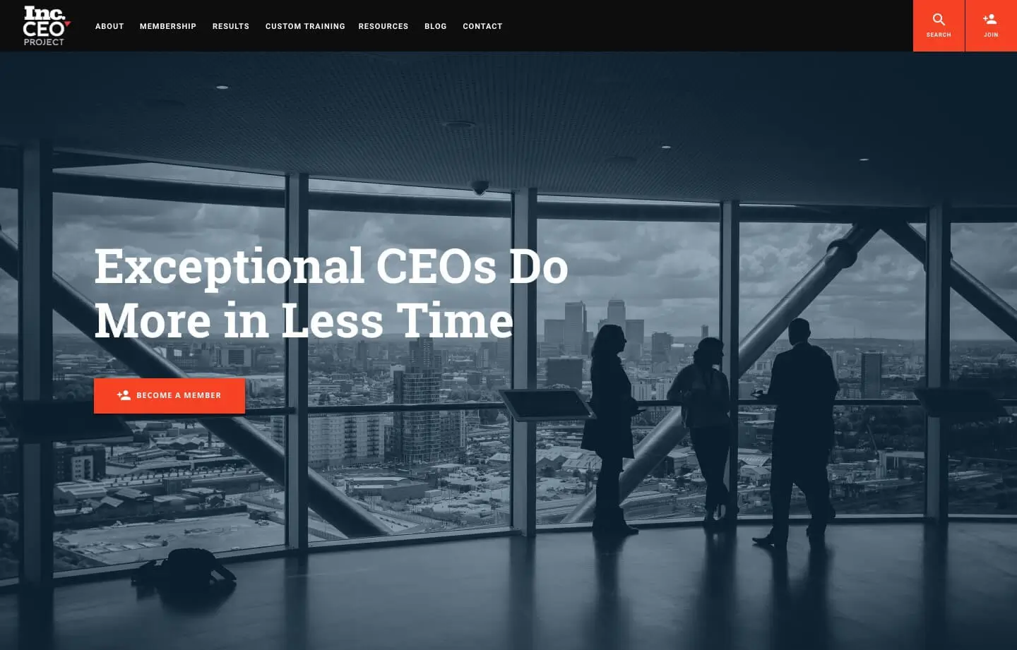 professional services and consultants website for INC Ceo Project